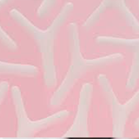 Lyme Disease (IgG, IgM) Immunoblot Test